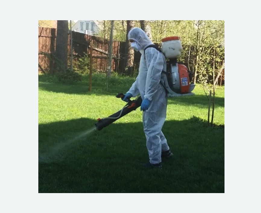 Обработка территории от клещей в Димитровграде