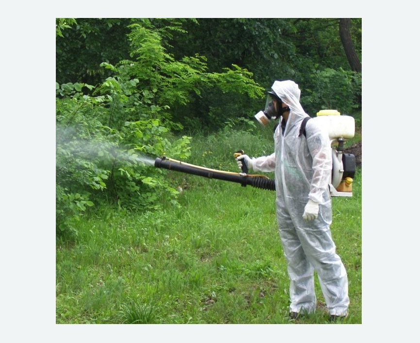 обработка территории от клещей в Димитровграде