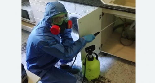 Уничтожение муравьев в квартире. Димитровград