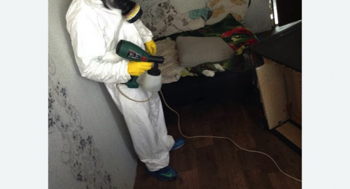 Обработка квартир от насекомых в Димитровграде