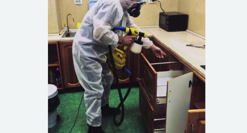 Дезинсекция квартиры. Димитровград
