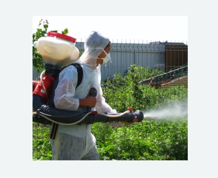 Акарицидная обработка территории в Димитровграде