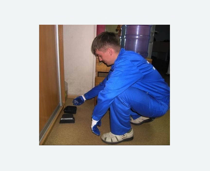 Дератизация крыс в Димитровграде