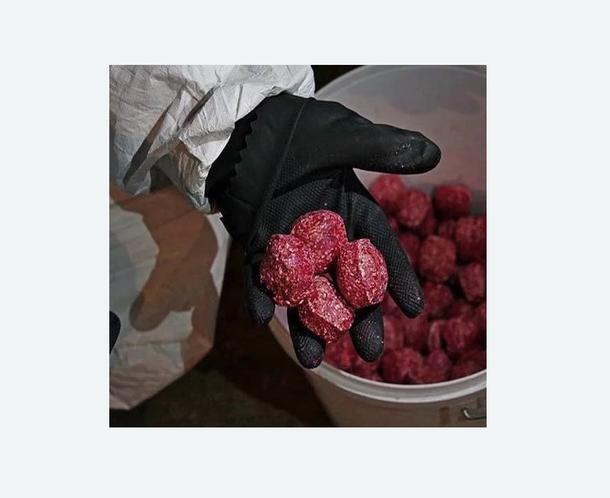 Обработка от крыс в Димитровграде