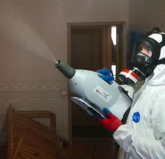 дезинсекция помещения в Димитровграде