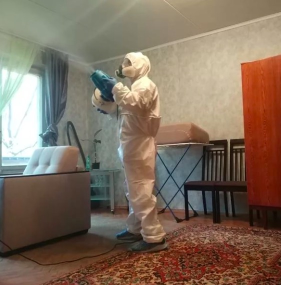 дезинсекция квартиры в Димитровграде