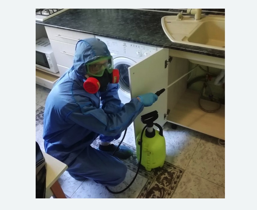 обработка от муравьев в квартире в Димитровграде