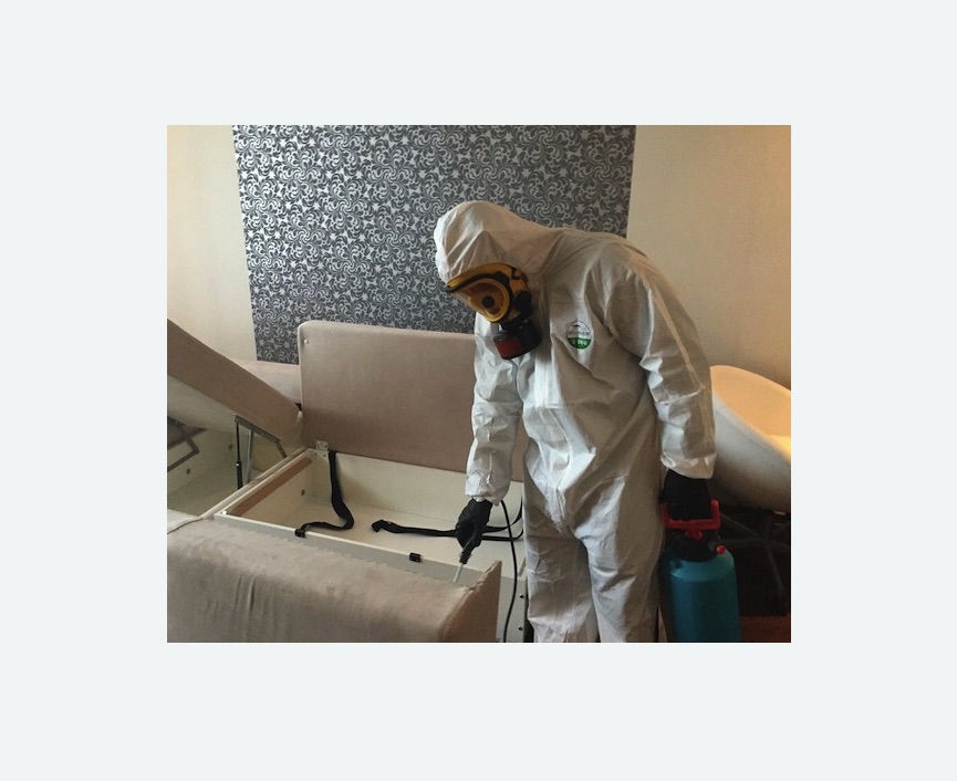 уничтожение клопов в квартире в Димитровграде