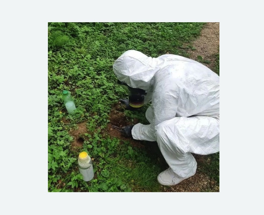 уничтожение кротов на участке в Димитровграде