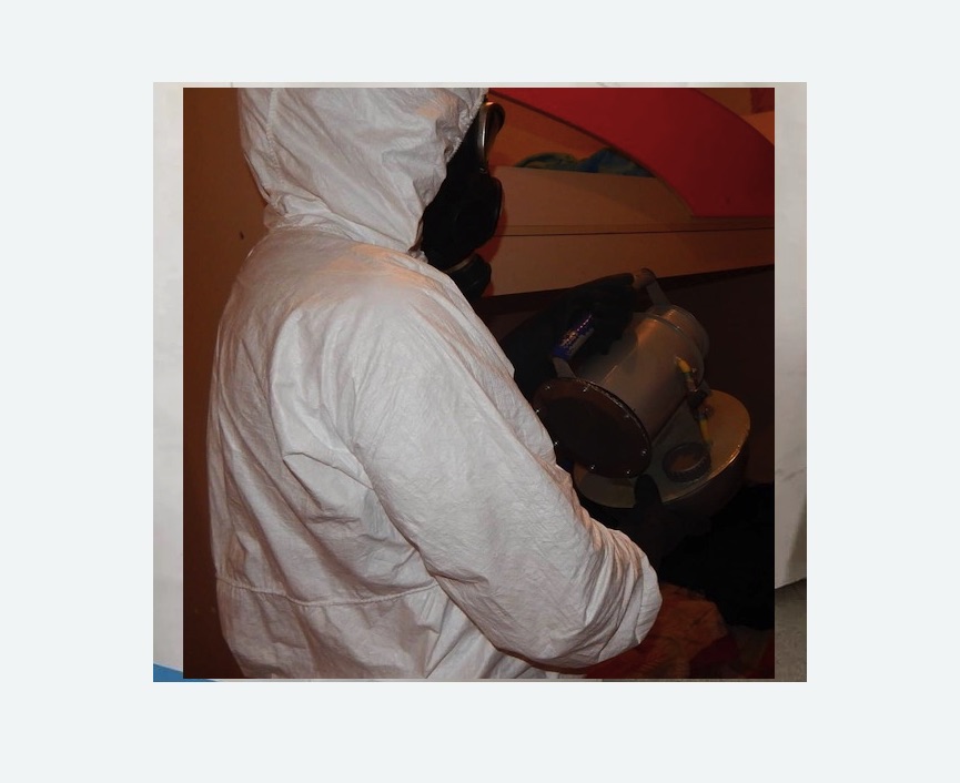 Дезинфекция от муравьев в Димитровграде