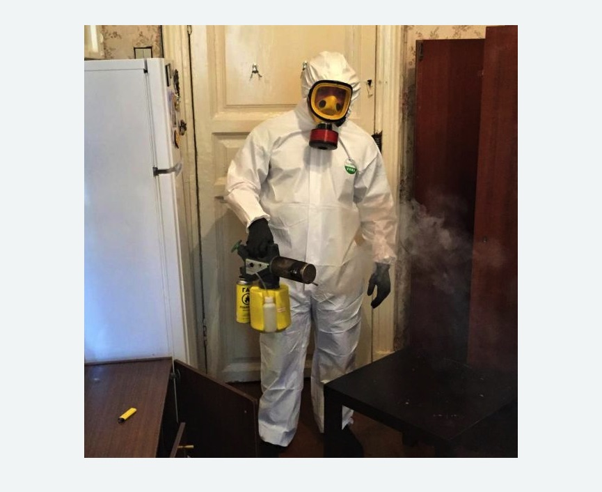 уничтожение муравьев в квартире в Димитровграде